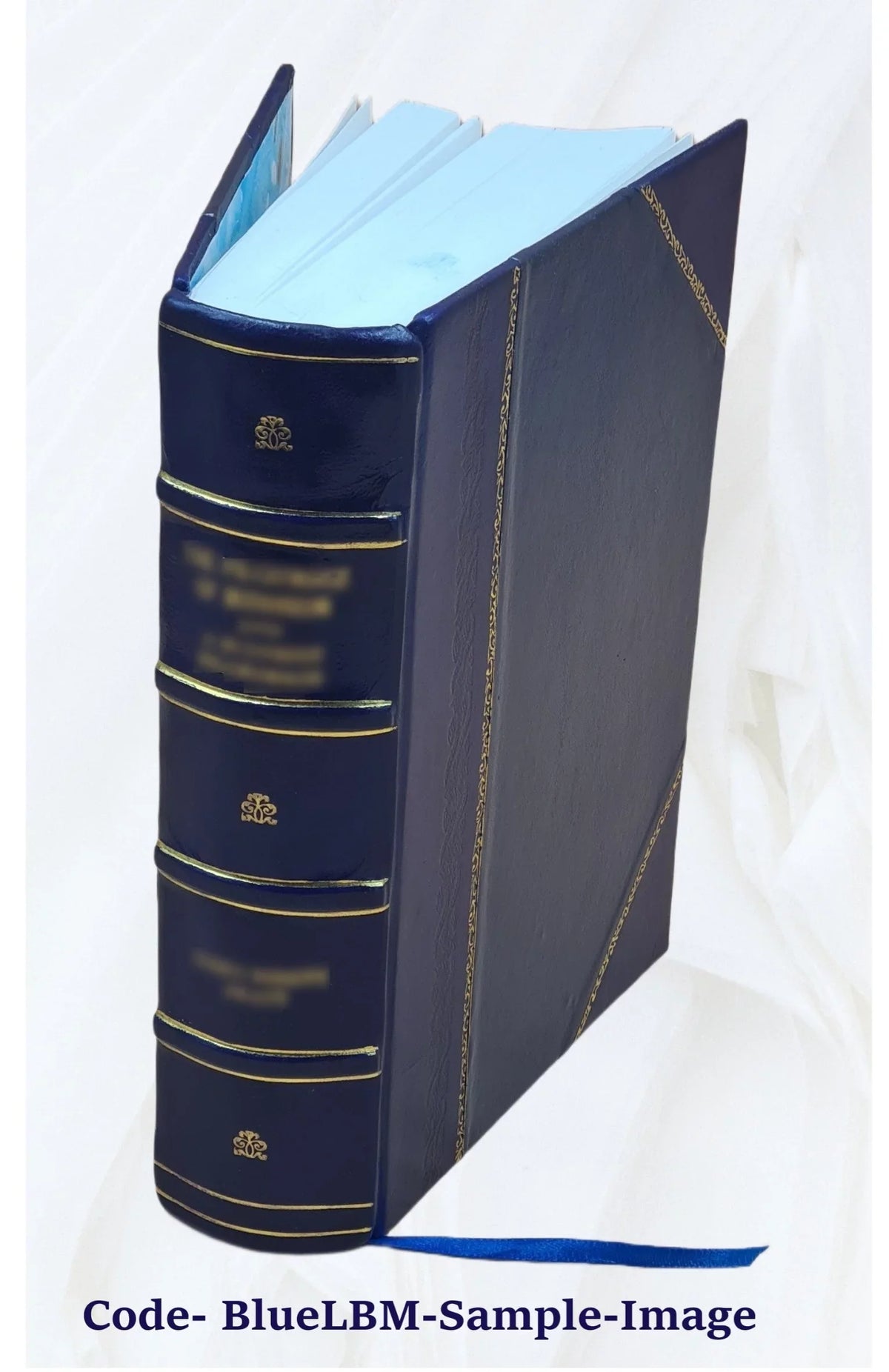 Gold rush : the journals; drawings; and other papers of J. Goldsborough Bruff; captain; Washington City and California Mining Association; April 2; 1849-July 20; 18 [Leather Bound]