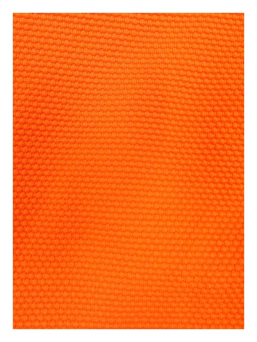 Alexandra Miro Women's Ursula High Waist Bikini Bottom (S; Orange)