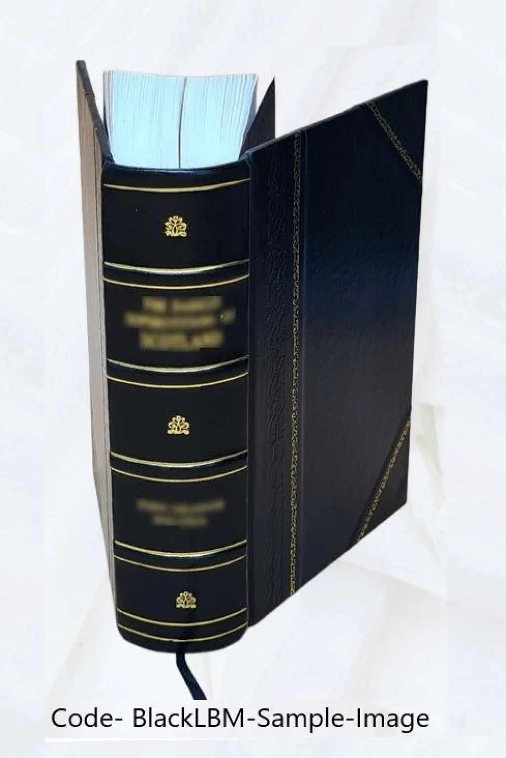 Apparatus biblicus; sive Manuductio ad Sacram Scripturam; tum clariùs; tum faciliùs intelligendam. Auctore r.p. Bernardo Lamy; .. 1723 [Leather Bound]