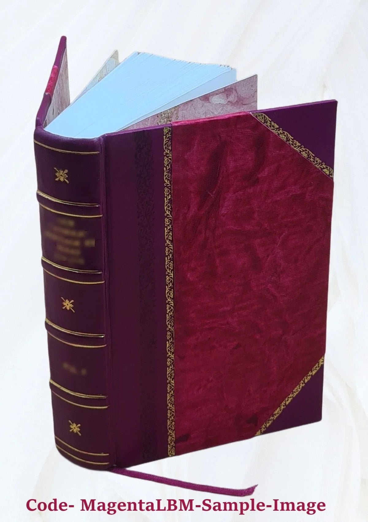 Apparatus biblicus; sive Manuductio ad Sacram Scripturam; tum clariùs; tum faciliùs intelligendam. Auctore r.p. Bernardo Lamy; .. 1723 [Leather Bound]