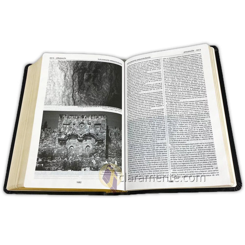 Biblia de Referencia Thompson; Reina Valera 1960; Piel Reciclada/ Spanish Thompson Chain Reference Bible; Reina Valera 1960; Recycled Leather Fibers (Other)