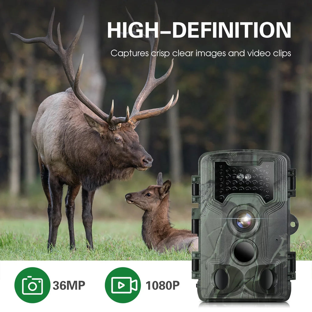 Lixada Trail and Game Camera 36MP 1080P with Night Vision Fluidproof IP66 for Wildlife Researching