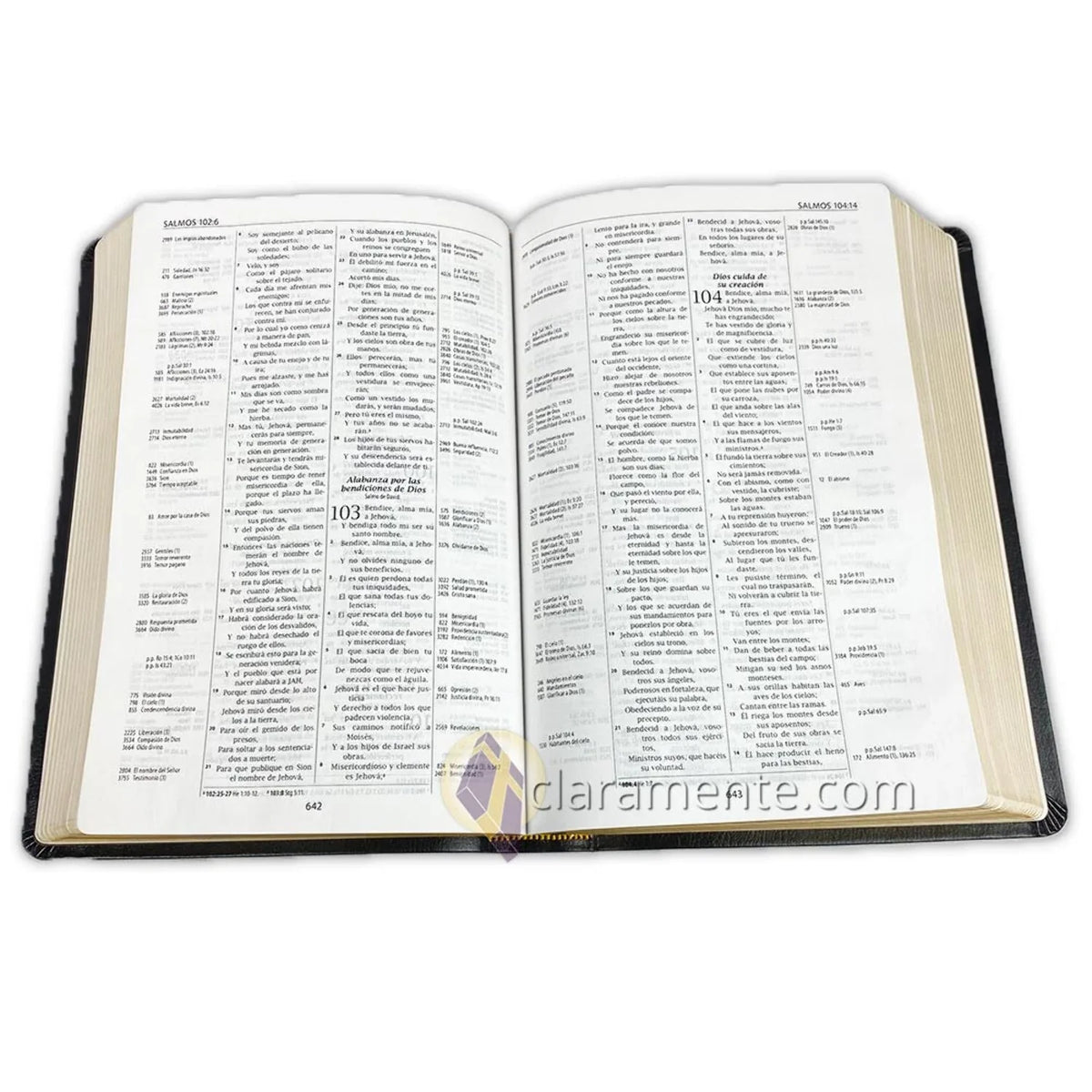 Biblia de Referencia Thompson; Reina Valera 1960; Piel Reciclada/ Spanish Thompson Chain Reference Bible; Reina Valera 1960; Recycled Leather Fibers (Other)