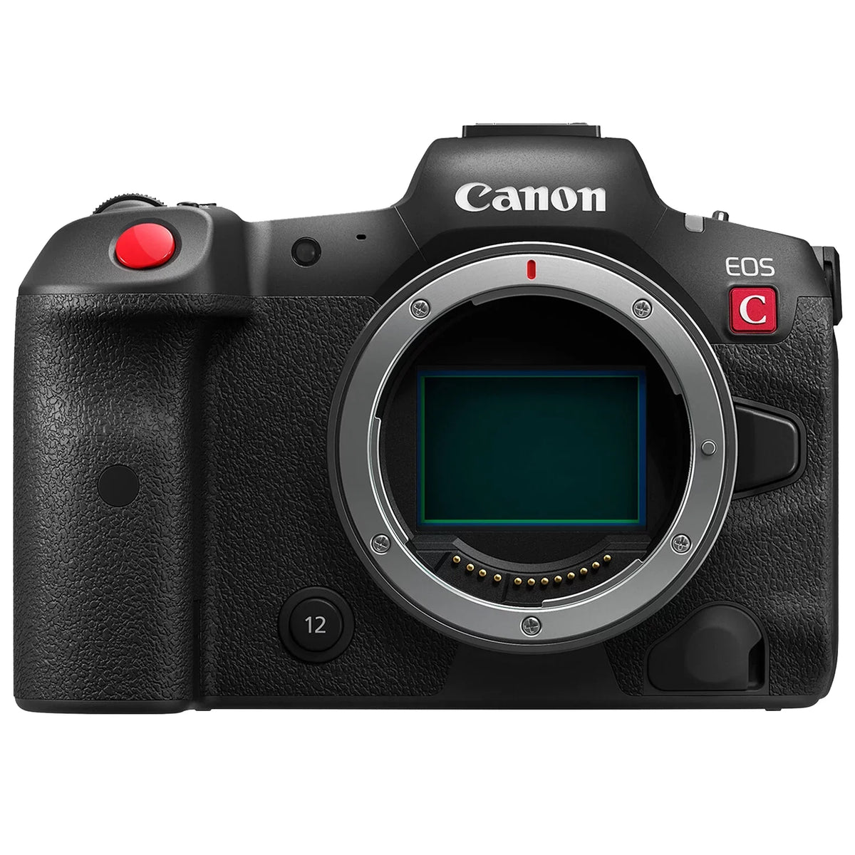 Canon EOS R5 C Mirrorless Cinema Camera (Body) with 2 Pack SanDisk 128GB Memory Card + Case + ZeeTech Accessory Bundle