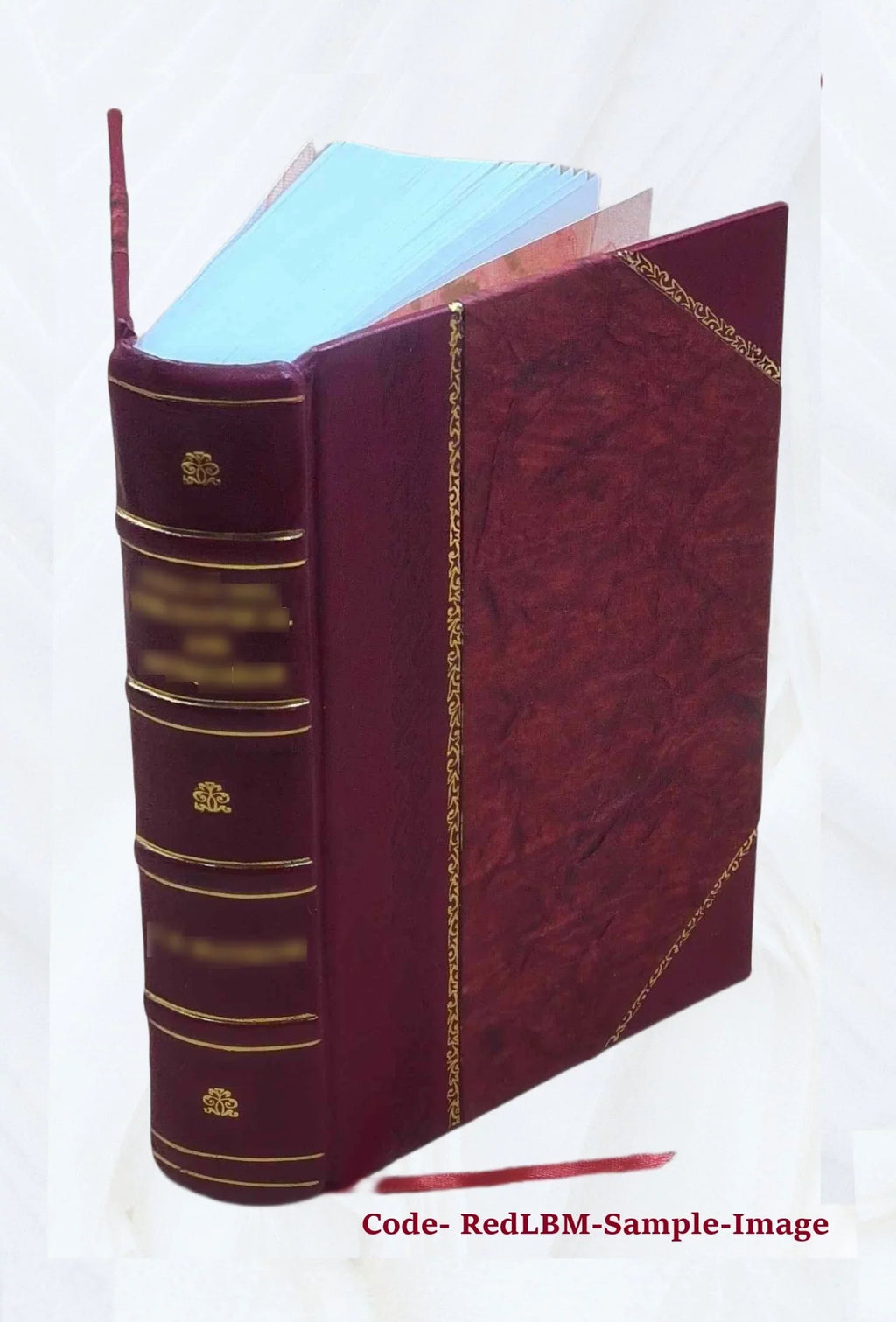 History of Mills County; Iowa; containing a history of the county; its cities; towns; etc.; a biographical directory of many of its leading citizens; war record of its volunteers i