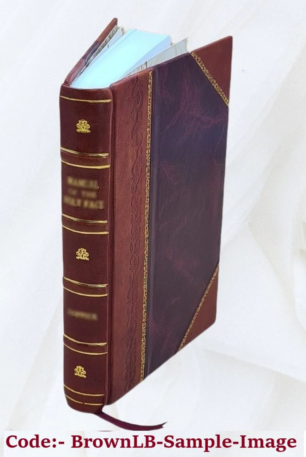 Confutatio Diatribae de mutuo; tribus disputationibus ventilatae auctore & praeside Io. Iacobo Vissembachio_I.V.D. eodemque professore in Academia Franekerana Frisiorum 1645 [Leath