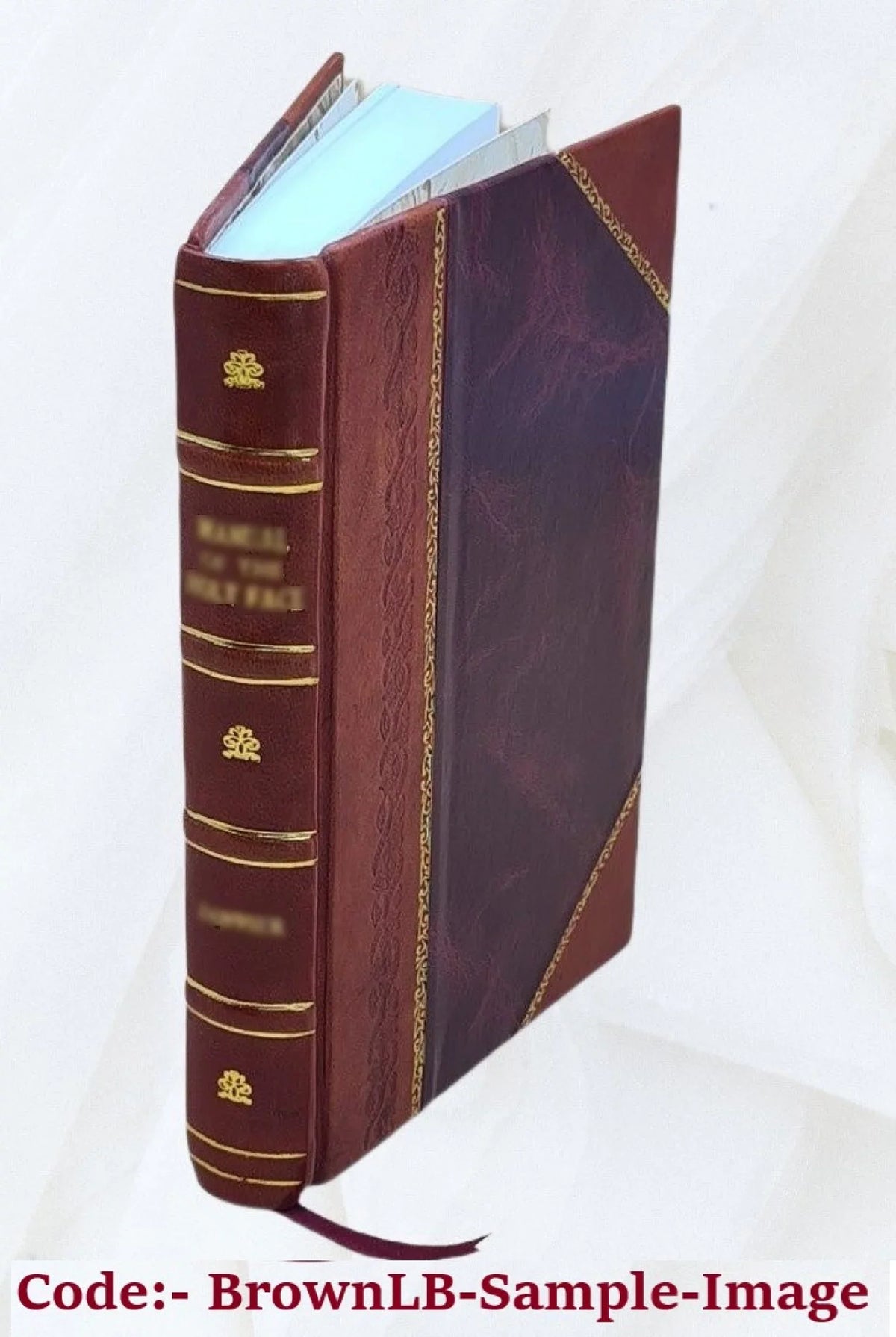 Confutatio Diatribae de mutuo; tribus disputationibus ventilatae auctore & praeside Io. Iacobo Vissembachio_I.V.D. eodemque professore in Academia Franekerana Frisiorum 1645 [Leath