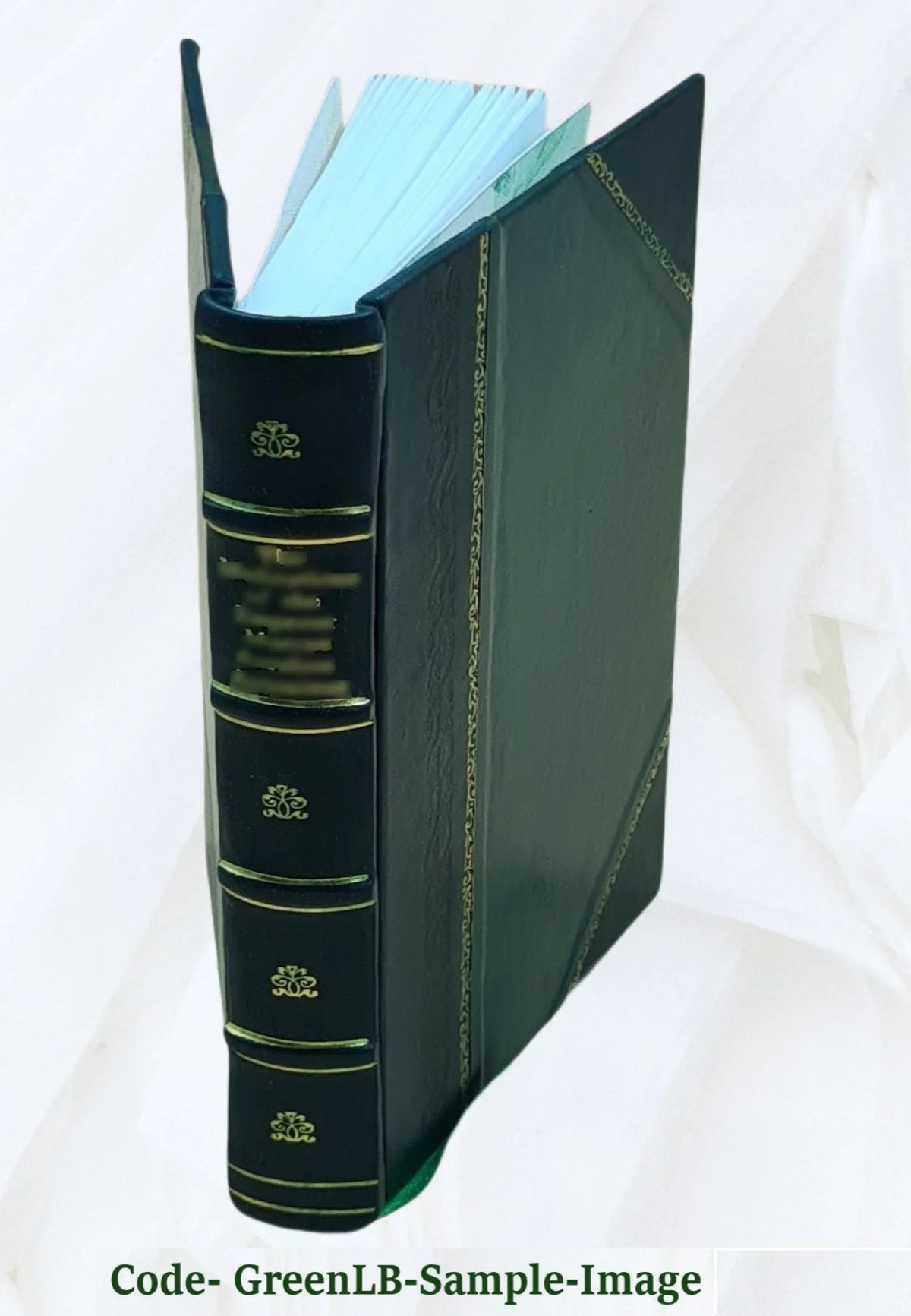 FSI - Igbo Basic Course - Student Text [Leather Bound]