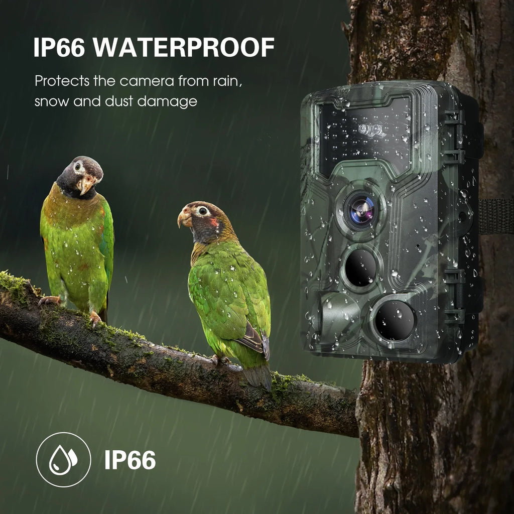 Lixada Trail and Game Camera 36MP 1080P with Night Vision Fluidproof IP66 for Wildlife Researching
