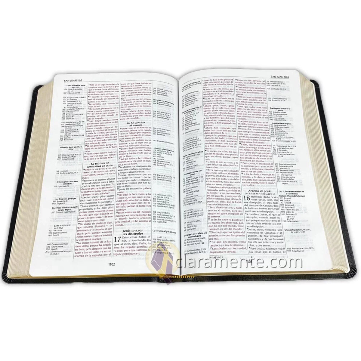 Biblia de Referencia Thompson; Reina Valera 1960; Piel Reciclada/ Spanish Thompson Chain Reference Bible; Reina Valera 1960; Recycled Leather Fibers (Other)